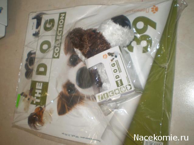 The Dog Collection №39 Папильон