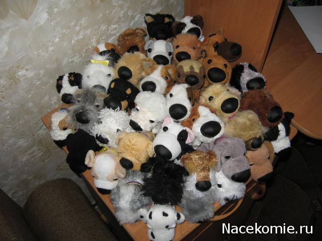 The Dog Collection Болталка