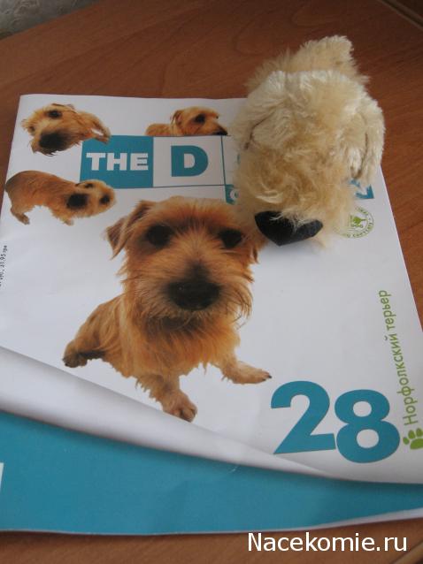 The Dog Collection №28 Норфолк Терьер
