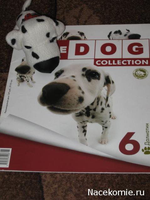 The Dog Collection №6 Далматин