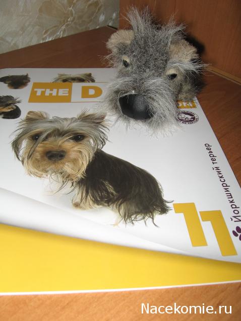 The Dog Collection №11 Йоркширский терьер