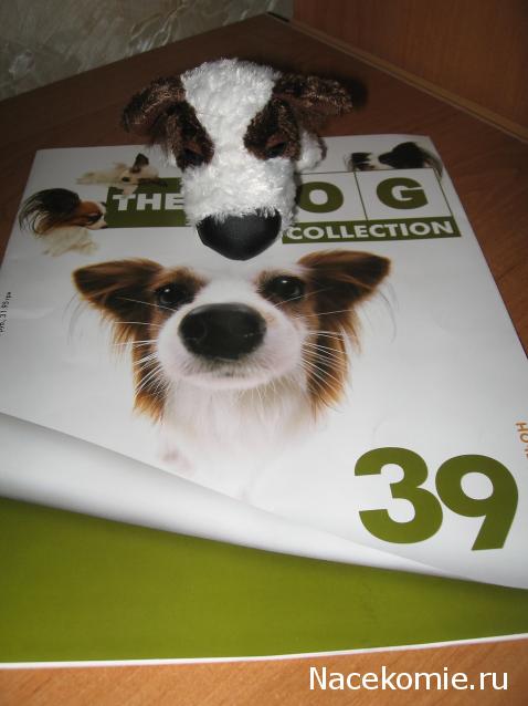 The Dog Collection №39 Папильон