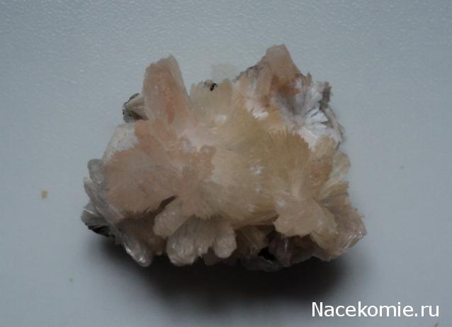 Коллекция минералов moroshka