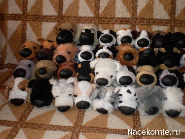 The Dog Collection Болталка