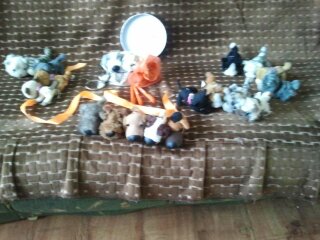 The Dog Collection Болталка