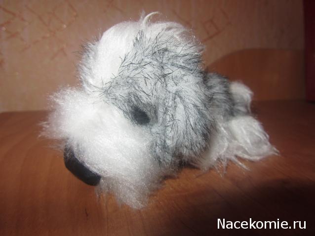 The Dog Collection №5 - Ши-тцу