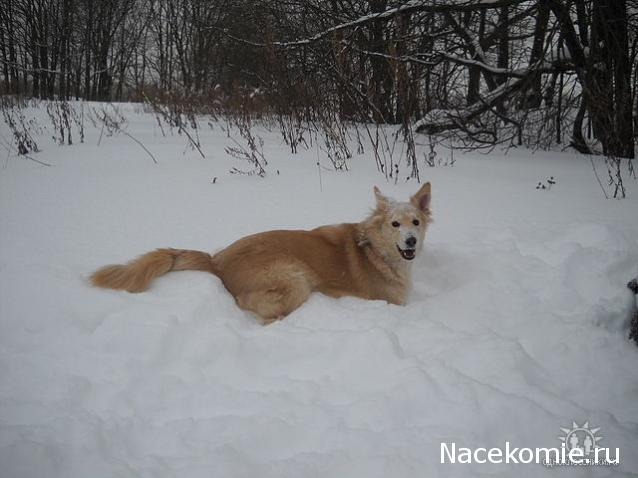 Дом Мечты. Болталка 2 или... будем знакомы