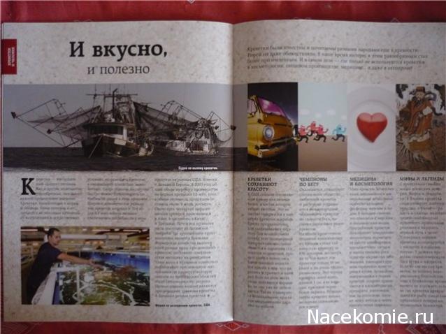 Обитатели подводного мира - ДеАгостини - тест