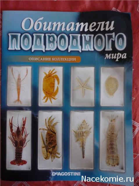 Обитатели подводного мира - ДеАгостини - тест