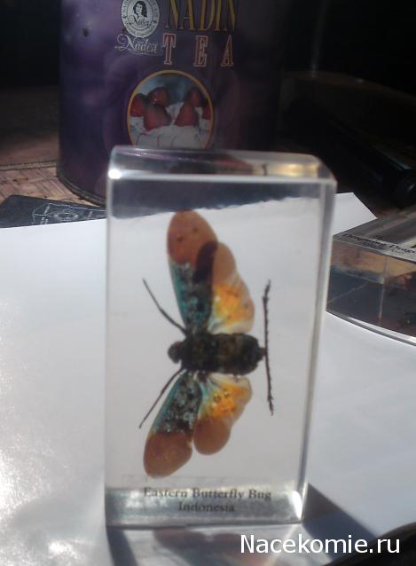 Насекомые и их знакомые 2010 График Выхода и обсуждение