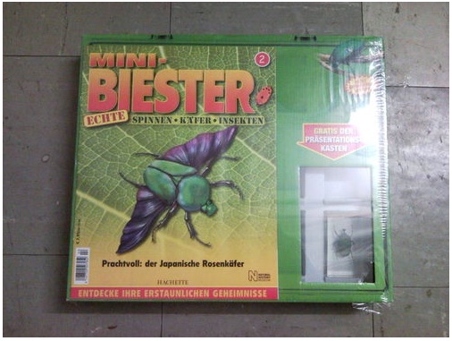 Насекомые и их знакомые 2010 График Выхода и обсуждение