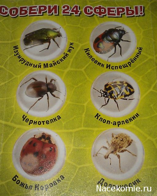 "Био-Сферы" серия 1 жуки и пауки  (Иглмосс)