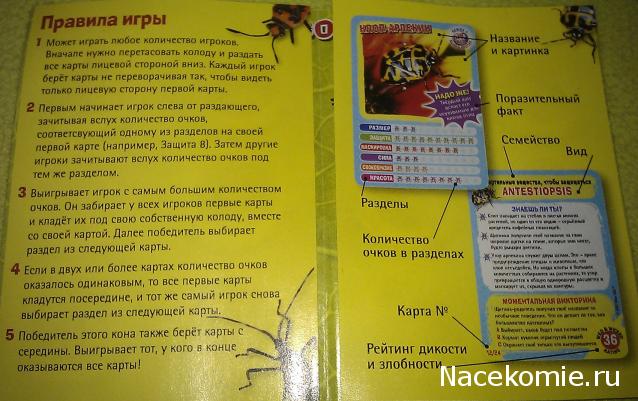 "Био-Сферы" серия 1 жуки и пауки  (Иглмосс)