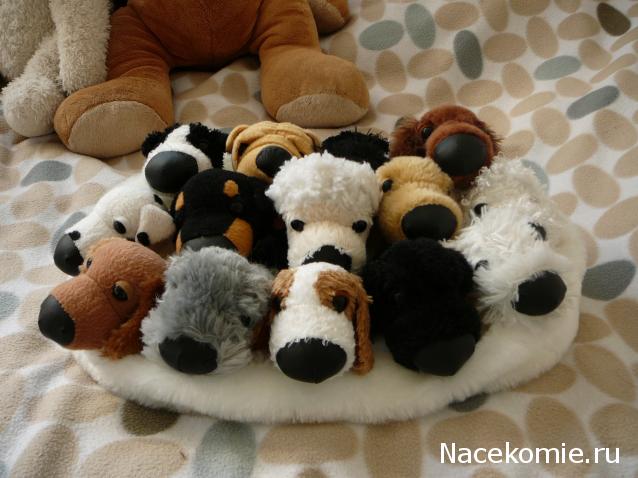 The Dog Collection Болталка