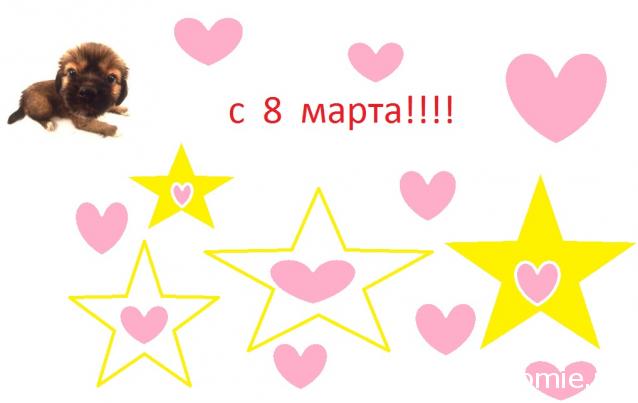 The Dog Collection Болталка