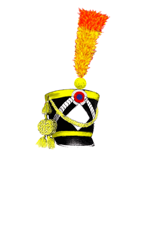 Наполеоновские Войны - График выхода и обсуждение