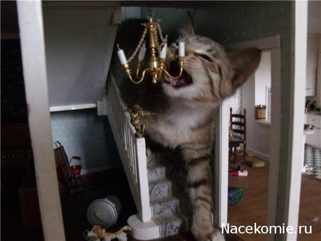 Дом Мечты. Болталка или... погрызем семечки