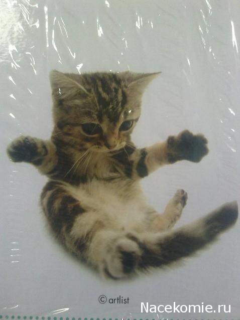 Кошкин дом. Болталка The Cat Collection