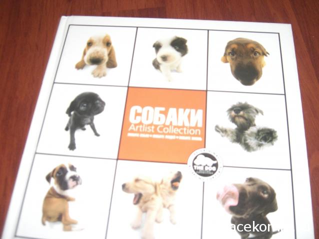 The Dog Collection Болталка