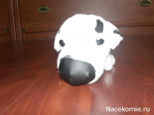 The Dog Collection №6 Далматин