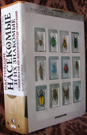 Папка "Насекомые и их знакомые": фото, конструкция.