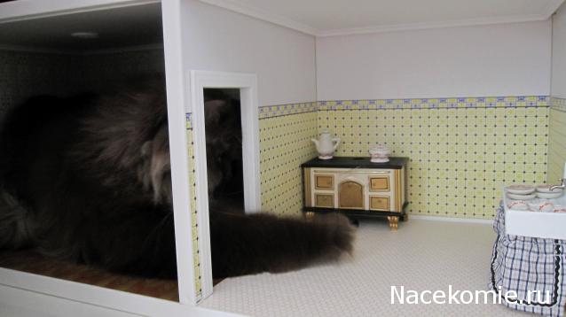 Собери Чёрную жемчужину. Пиратский трёп