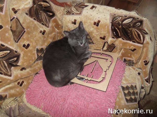 Собери Чёрную жемчужину. Пиратский трёп