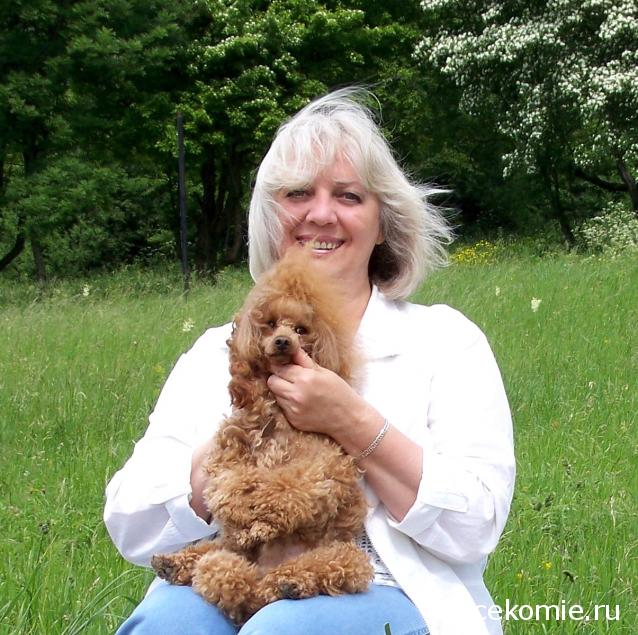 Дом Мечты. Болталка 2 или... будем знакомы