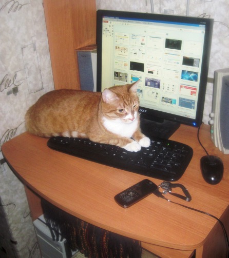 Дом Мечты. Болталка или... погрызем семечки