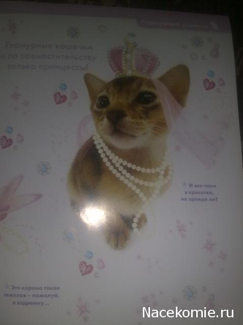 Кошкин дом. Болталка The Cat Collection