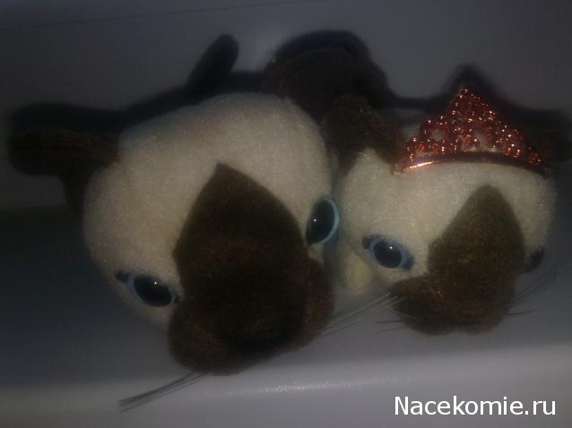 Кошкин дом. Болталка The Cat Collection