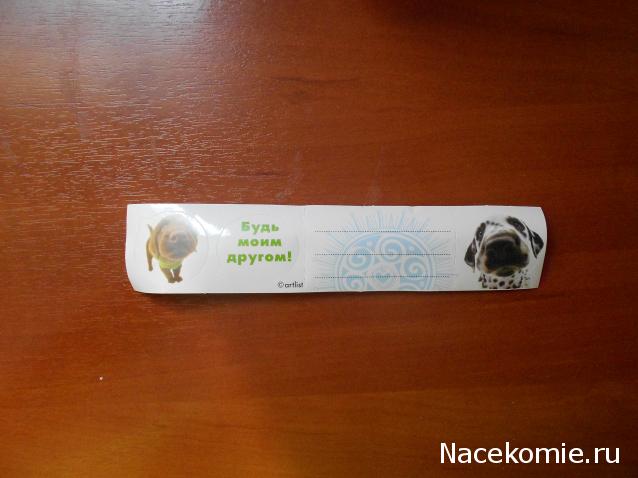 The Dog Collection Болталка