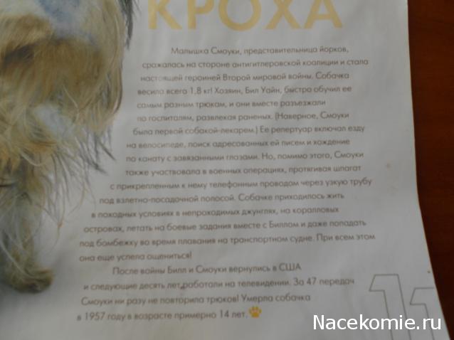 The Dog Collection Болталка