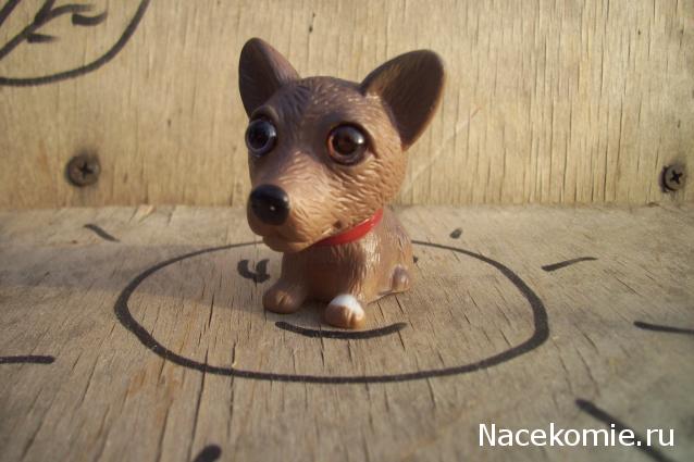 The Dog Collection Болталка