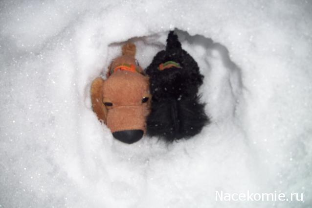 The Dog Collection Болталка