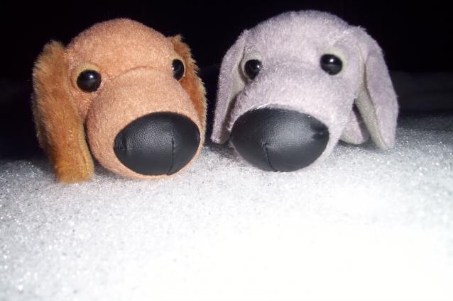 The Dog Collection Болталка