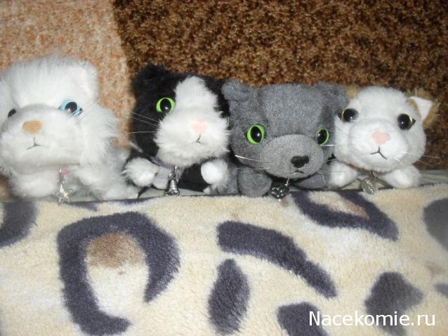 Кошкин дом. Болталка The Cat Collection