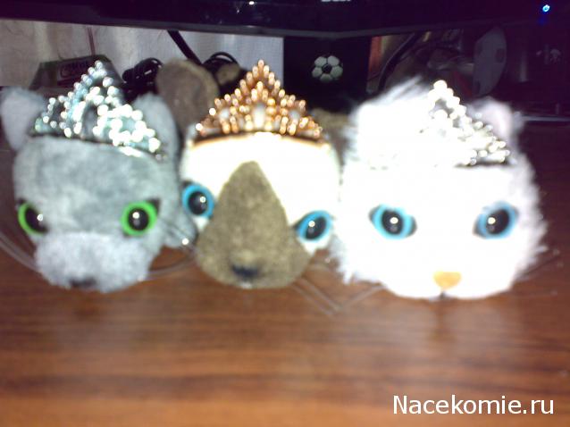 Кошкин дом. Болталка The Cat Collection