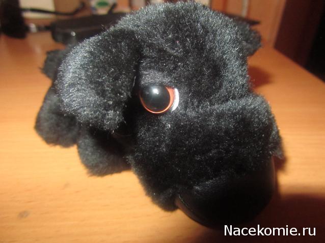 The Dog Collection Болталка