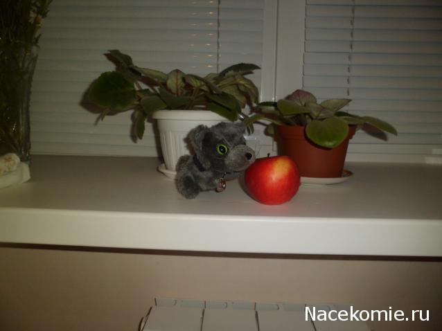 The Cat Collection № 3 Русская голубая Фото