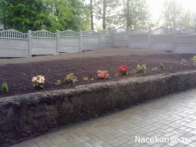 Дом Мечты. Болталка или... погрызем семечки