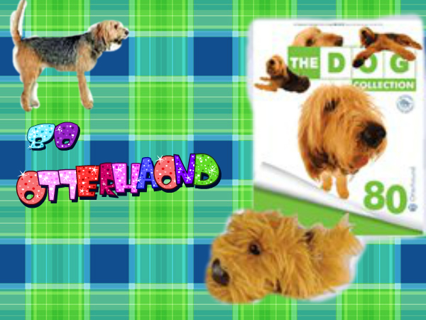 The Dog Collection Болталка