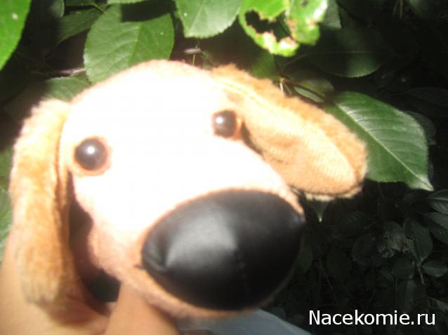 The Dog Collection Болталка