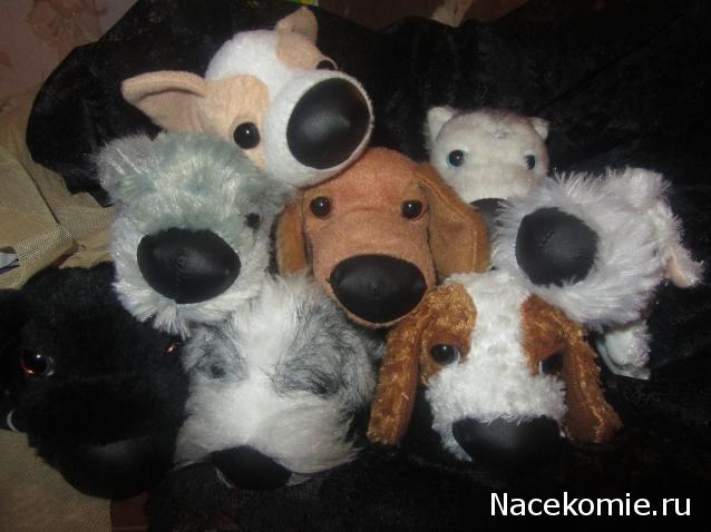The Dog Collection Болталка