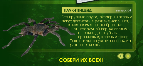 Насекомые и их знакомые 2010 График Выхода и обсуждение