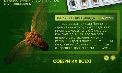 Насекомые и их знакомые 2010 График Выхода и обсуждение