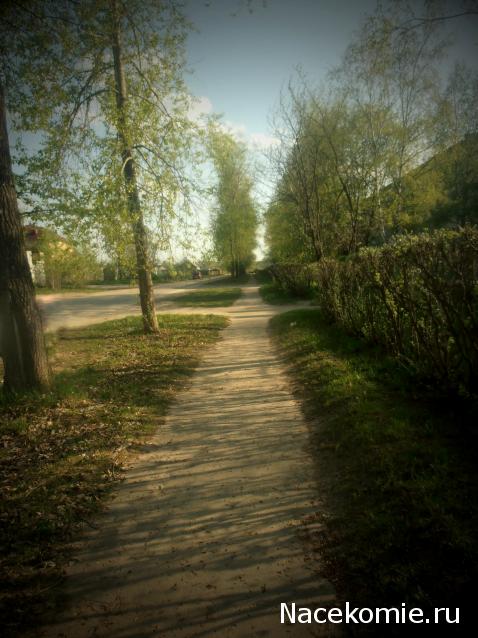 Shtorm