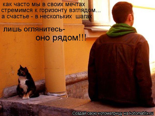 Помощь бездомным животным