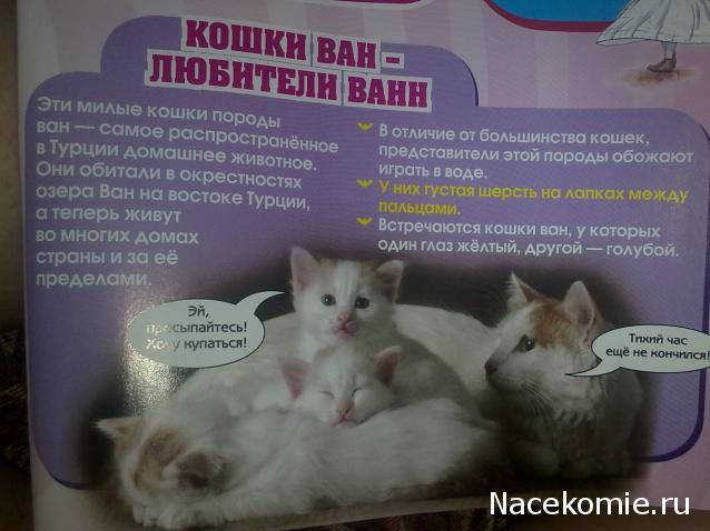 Scooby Doo: Великие тайны мира