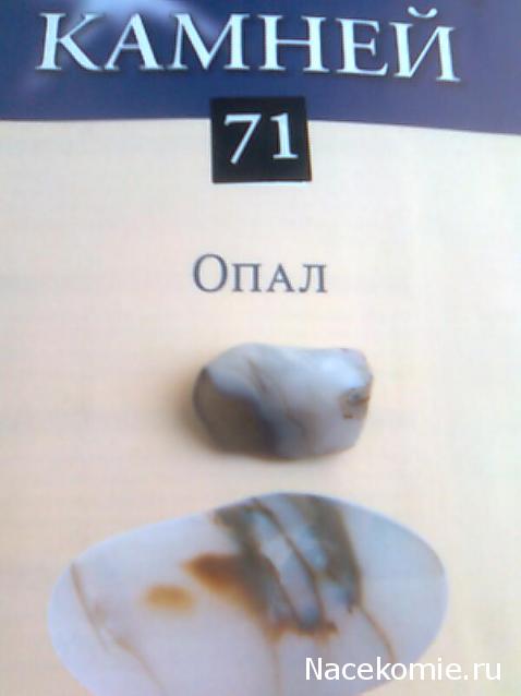 Энергия камней № 71 Опал (окатанный камень) фото, обсуждение